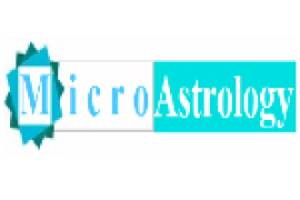 micro_clogo